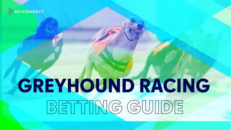 greyhound betting strategies|Greyhound Racing Betting Guide: All You Need to .